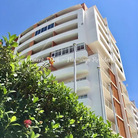 104 - Flamingo * Portimão