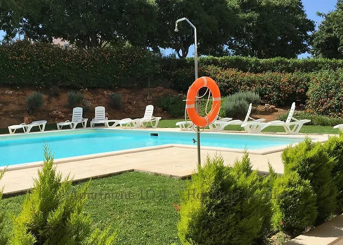 104 - Flamingo * Portimão